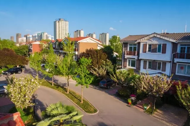 纸杯蛋糕 | 繁花五月，，，，，，唯爱绵绵